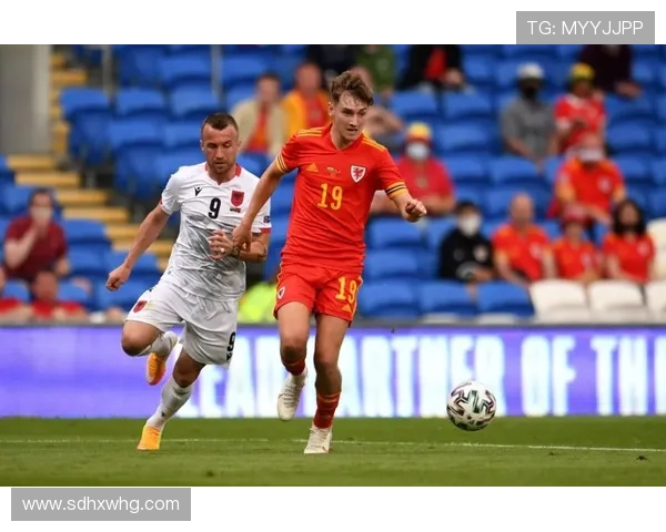 狼队，外援与本土球员的搭配